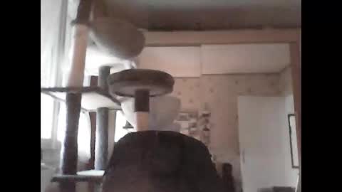 Snapshot of jojo60000529566 chatting on 09.29.25 jojo60000529566 online show from 09.29.25