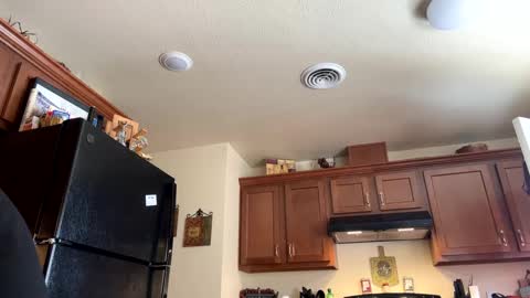 sissy josphine online show from 01.17.25