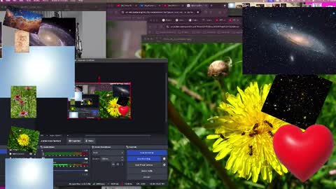JP Sunflower Angel Love online show from 10.13.25