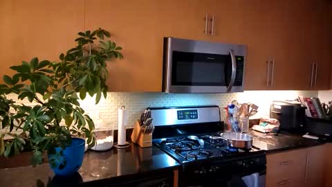 Snapshot of jtrnbll chatting on 10.30.25 ... online show from 10.30.25