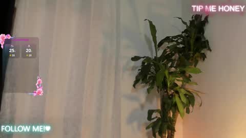 Juan Miguel online show from 02.14.25