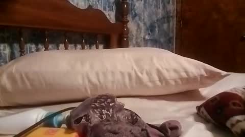 juicyj322 online show from 01.19.25