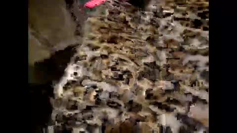 juicyslutx online show from 11.30.25