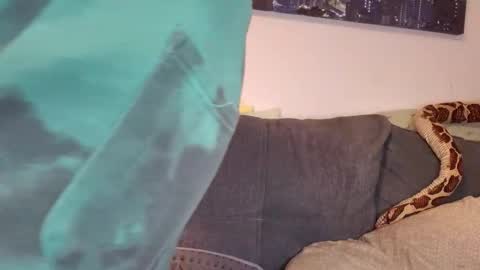 Snapshot of julia_official chatting on 11.07.25 julia_official online show from 11.07.25