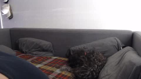 justasucker4u online show from 11.20.25