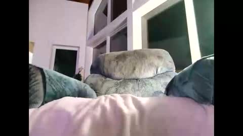 Snapshot of justforyou777770 chatting on 01.08.25 Gil indpendant model exhibitionnist online show from 01.08.25