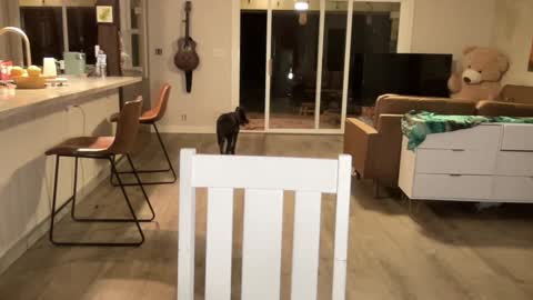 Snapshot of kaileeshy chatting on 09.27.25 Kailee Smile online show from 09.27.25