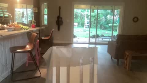 Snapshot of kaileeshy chatting on 10.01.25 Kailee Smile online show from 10.01.25