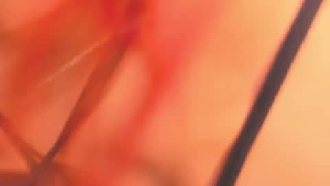 KarinaBelov  online show from 02.18.25