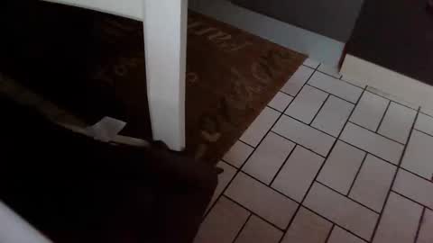 Kev online show from 10.31.25