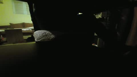 Snapshot of kaskaderns chatting on 01.19.25 Stojko online show from 01.19.25