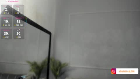 kendallbleer online show from 11.19.25