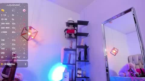 KIM online show from 11.14.25