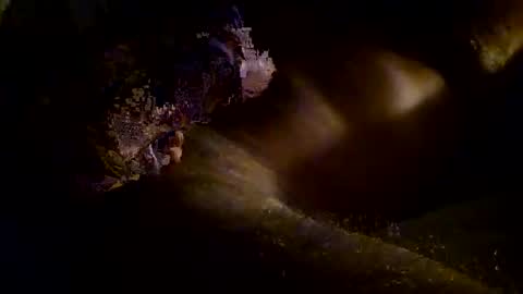 Snapshot of kitkat_loco1 chatting on 11.03.25 Kitkat loco online show from 11.03.25