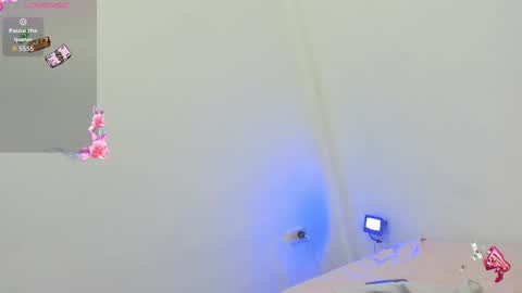 kitty online show from 10.08.25