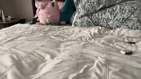 kittypurr79 online show from 01.12.25