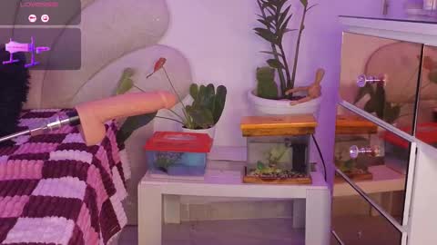 korolova online show from 09.20.25