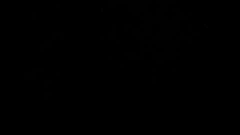 Snapshot of kylie_bloom chatting on 10.31.25 kylie_bloom online show from 10.31.25