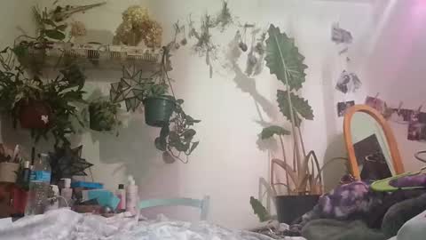 Snapshot of lacybell chatting on 12.24.24 lacybell online show from 12.24.24