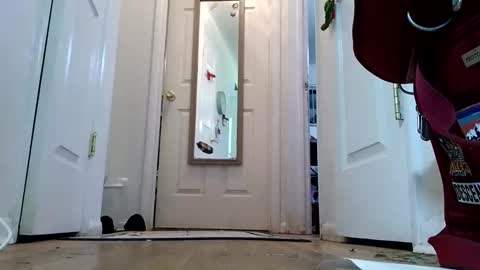 Snapshot of lacybell chatting on 01.08.25 lacybell online show from 01.08.25