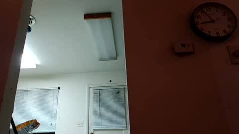 Snapshot of lacybell chatting on 01.14.25 lacybell online show from 01.14.25