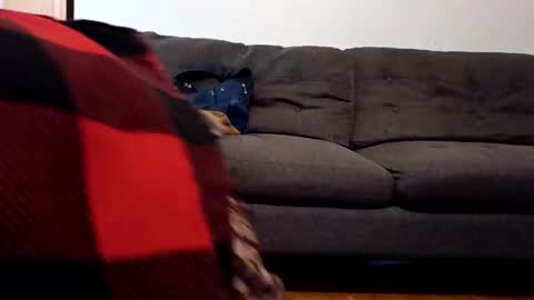 Snapshot of lacybell chatting on 02.07.25 lacybell online show from 02.07.25