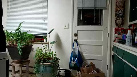 Snapshot of lacybell chatting on 02.15.25 lacybell online show from 02.15.25