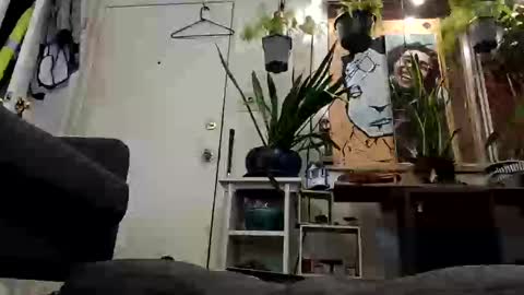 Snapshot of lacybell chatting on 02.19.25 lacybell online show from 02.19.25