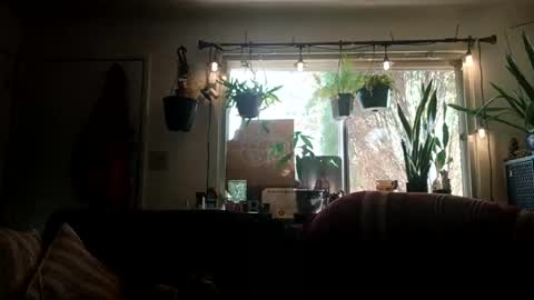 Snapshot of lacybell chatting on 09.21.25 lacybell online show from 09.21.25