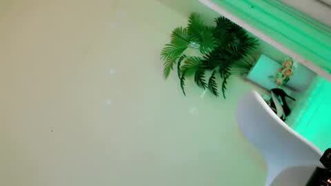 Stella online show from 09.28.25