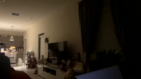 Snapshot of law_cambio chatting on 12.31.24 law_cambio online show from 12.31.24