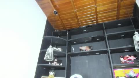 LevySteven online show from 02.19.25