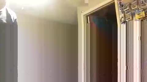 Snapshot of lie2ne chatting on 11.16.25 lie2ne online show from 11.16.25