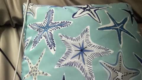 likefhot online show from 11.17.25