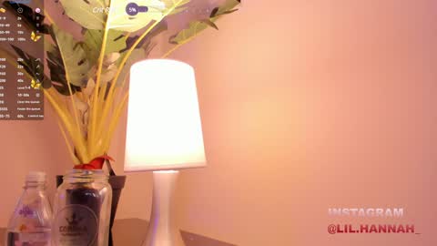 Snapshot of lil_hanna18 chatting on 12.10.24 Hanna online show from 12.10.24