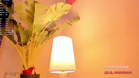 Snapshot of lil_hanna18 chatting on 12.23.24 Hanna online show from 12.23.24