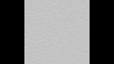 Lily online show from 10.19.25