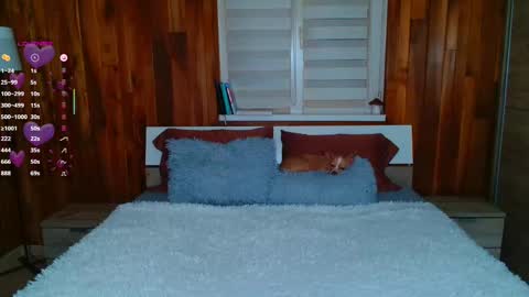 Snapshot of lisa_tease chatting on 02.11.25 Lisa online show from 02.11.25