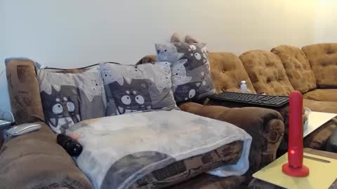 Snapshot of litisialove455 chatting on 01.31.25 litisialove455 online show from 01.31.25