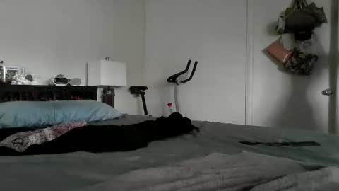 Snapshot of londonmariexxx chatting on 11.16.25 LondonMariexxx online show from 11.16.25