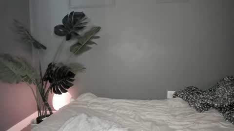 Snapshot of lonelly_lolly98 chatting on 02.26.25 SABRINA online show from 02.26.25