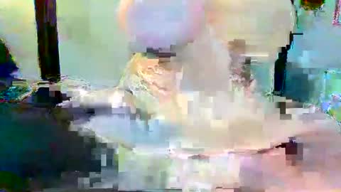 Snapshot of long_dong91 chatting on 01.03.25 Long Dong91 online show from 01.03.25