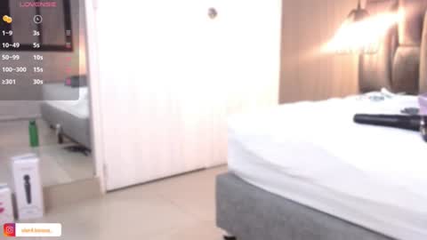 Snapshot of lorena_vieira_ chatting on 12.29.24 Lorena Vieira online show from 12.29.24