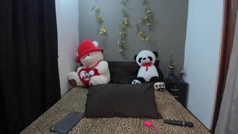 Snapshot of lunaa_mayerr chatting on 01.28.25 lunaa mayer online show from 01.28.25