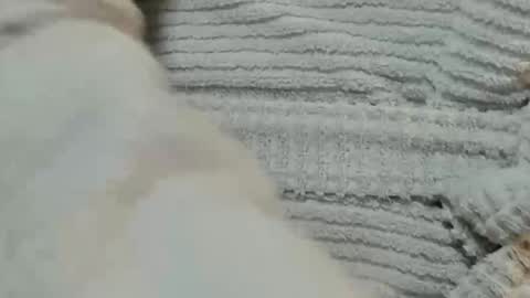 Snapshot of lustgardener67 chatting on 12.09.24 lustgardener67 online show from 12.09.24