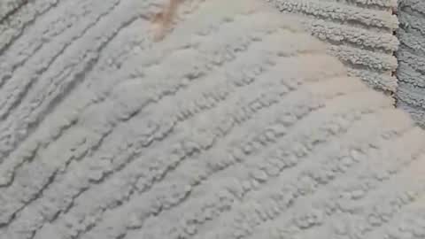 Snapshot of lustgardener67 chatting on 12.15.24 lustgardener67 online show from 12.15.24