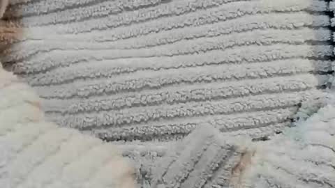 Snapshot of lustgardener67 chatting on 12.15.24 lustgardener67 online show from 12.15.24