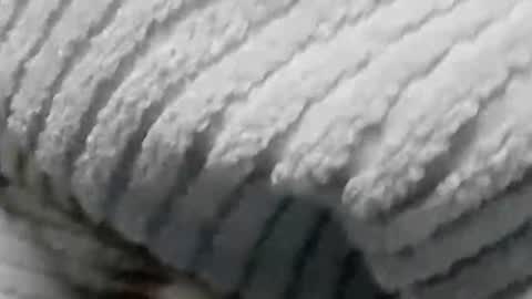 Snapshot of lustgardener67 chatting on 01.19.25 lustgardener67 online show from 01.19.25