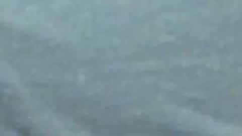 Snapshot of lustgardener67 chatting on 01.27.25 lustgardener67 online show from 01.27.25