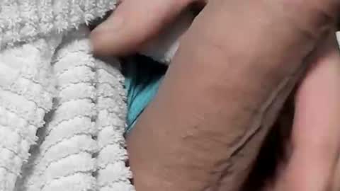 lustgardener67 online show from 02.04.25